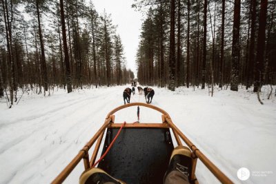 Trineo en Finlandia