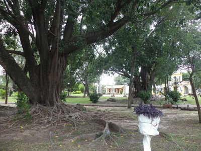 Santa Ana de los GuÃ¡caras. Corrientes. Argentina