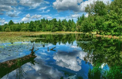 Landschaft