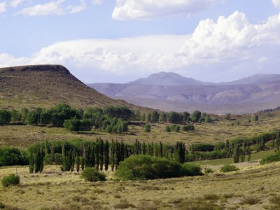 A la vera de la RN 40. NeuquÃ©n. Argentina