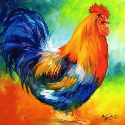 Amazing Rooster