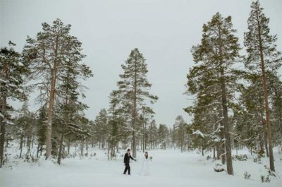 Bosque nevado  Casorio en Finlandia