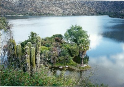 Valle FÃ©rtil. San Juan. Argentina