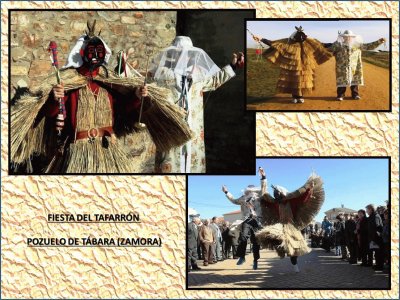 FIESTA DEL TAFARRÃ“N - POZUELO DE TÃBARA (ZAMORA)