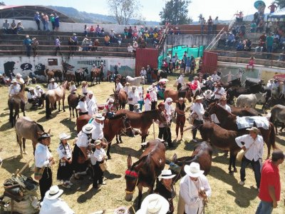 feria ganadera