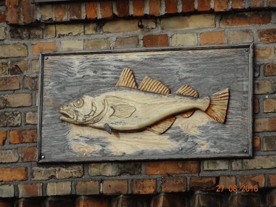 Fisch auf Tafel