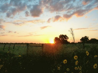 atardecer en el campo