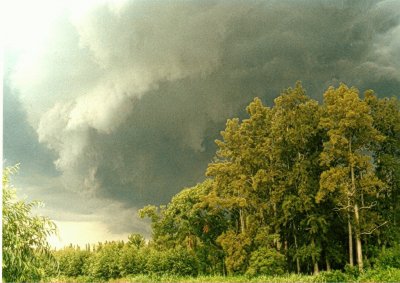 tormenta