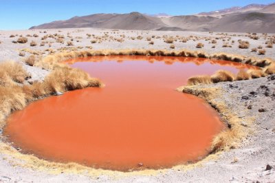 En el Salar de Antofalla. Catamarca. Argentina