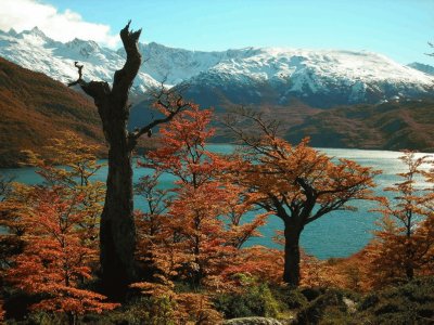 En El ChaltÃ©n. Patagonia Argentina