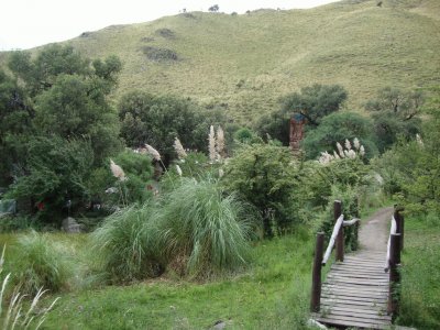 En Merlo. San Luis. Argentina