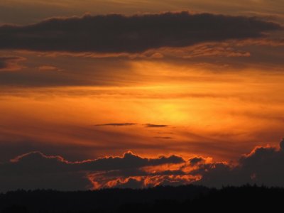 Orange sunset after misty morning spider web