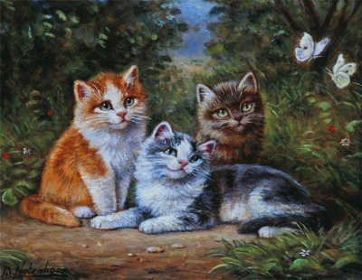 gatinhos