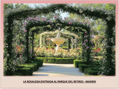 LA ROSALEDA - ENTRADA AL PARQUE DEL RETIRO