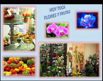 HOY TOCA FLORES Y FRUTAS