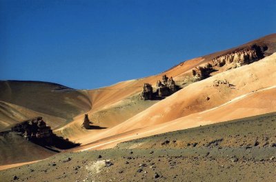 En la Puna SalteÃ±a. Argentina