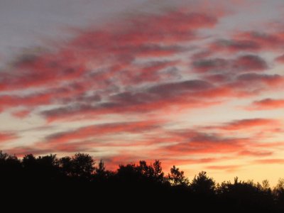 Dark pink clouds across the street