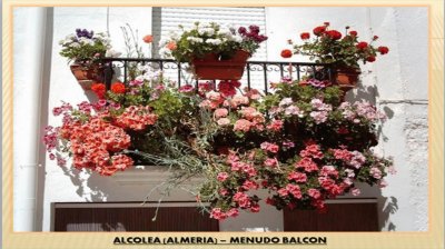 MENUDO BALCON