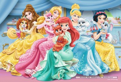 Belle Aurora Ariel Cinderella SnowWhite