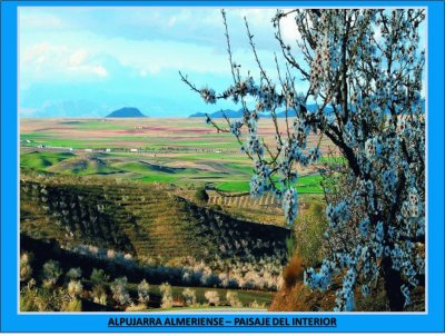 ALPUJARRA ALMERIENSE - PAISAJE DEL INTERIOR