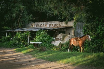 almacÃ©n de campo