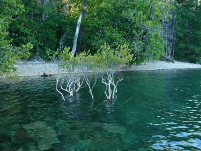 Lago Puelo. Chubut. Argentina