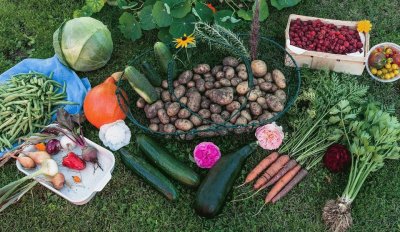 Fresh Garden Vegetables