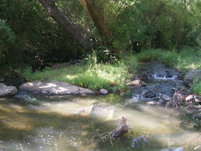 En Potrero de los Funes. San Luis. Argentina