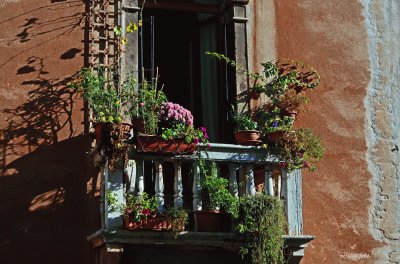 venezia