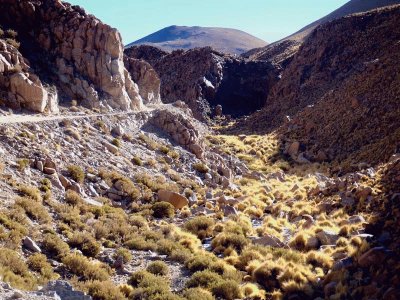 A la vera de la RP 129. Salta. Argentina