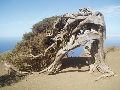 Sabina El Hierro