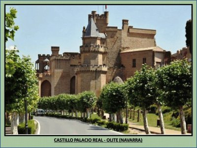 CASTILLO PALACIO REAL - OLITE (NAVARRA)