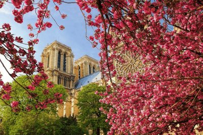 notre dame