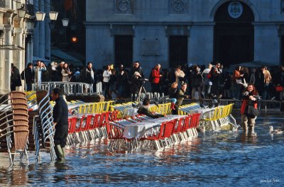 piazza san marco / aqua alta