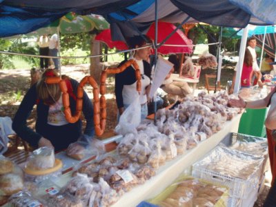 GastronomÃ­a Canaria