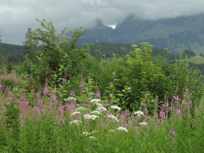 Gantrischgebiet Berner Oberland