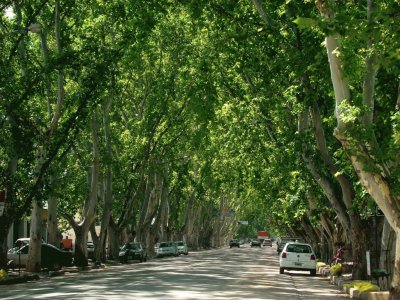 Colonia Caroya. CÃ³rdoba. Argentina