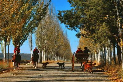 Caminos de mi paÃ­s !!!!!!!!!