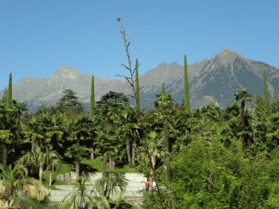 Trauttmannsdorf Blick in die Ferne