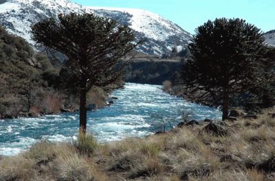 En la Patagonia Argentina