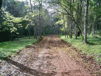 En El Dorado. Misiones. Argentina