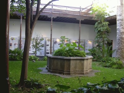 Patio canario