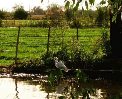 En San Javier. CÃ³rdoba. Argentina