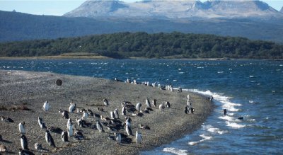 Cerca de Ushuaia. Tierra del Fuego. Argentina