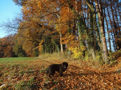 Herbstspaziergang