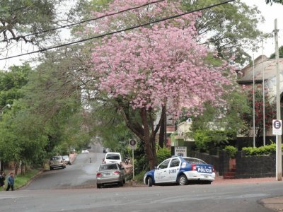 En Posadas. Misiones. Argentina