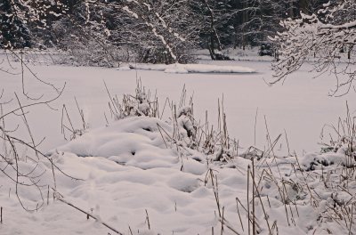 winter am teich