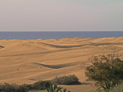 dunas maspalomas