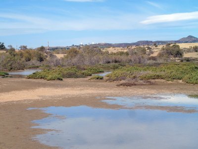 dunas maspalomas