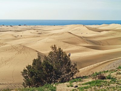 dunas maspalomas